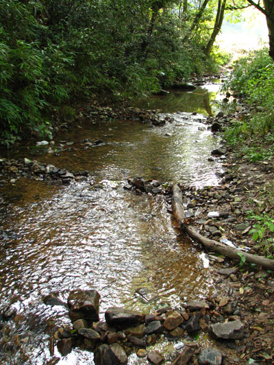 �����ҹ�