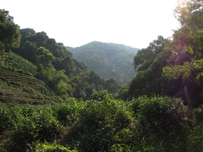 �����ҹ�