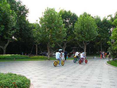 �����ҹ�