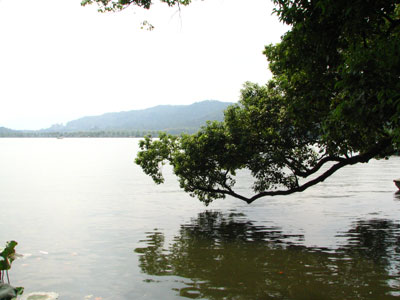 �����ҹ�