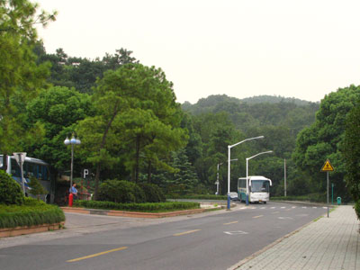 �����ҹ�