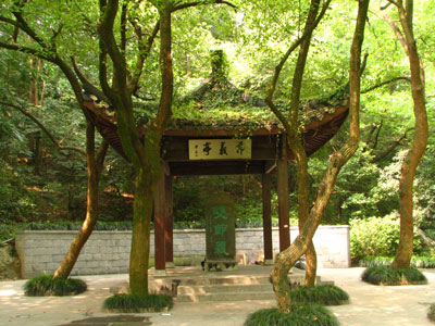 �����ҹ�