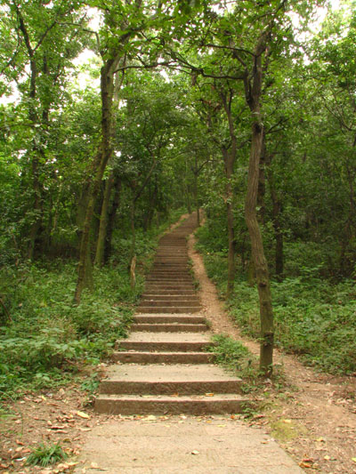 �����ҹ�