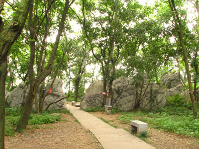 �����ҹ�