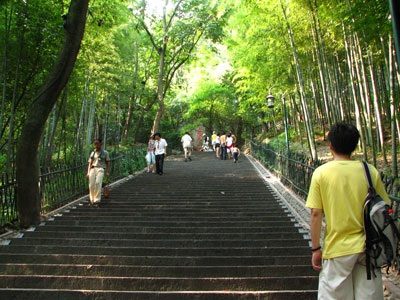 �����ҹ�