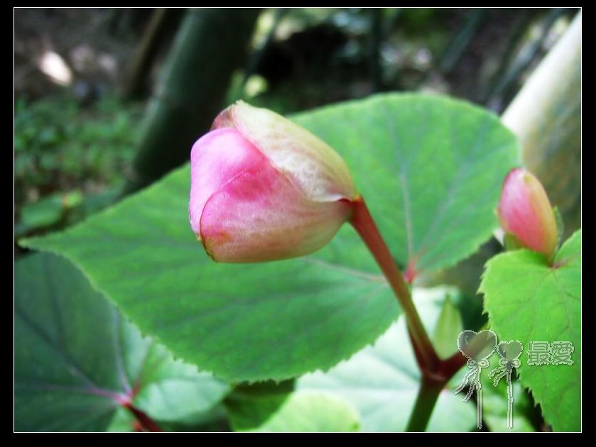 �ҵļ��ֺ���