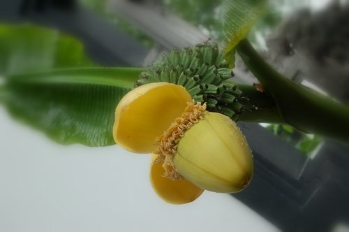 �ӡ�������˵��(������)