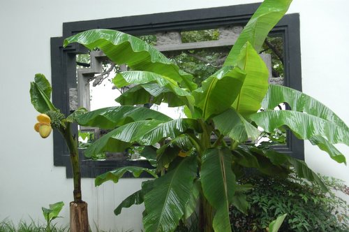 �ӡ�������˵��(������)