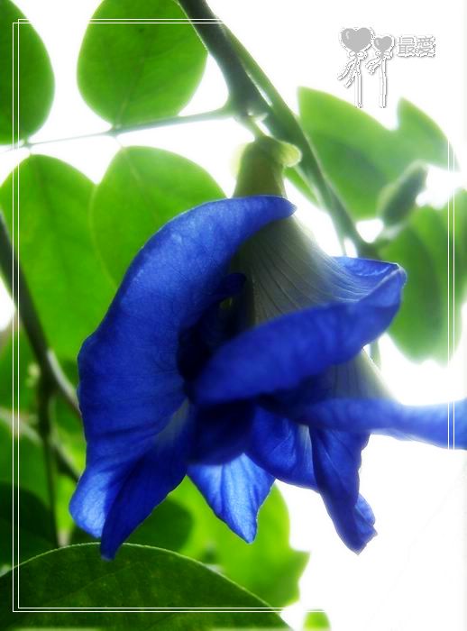 ��������ذ��������