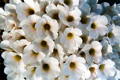 �Ŷ�!��ե���ݶ�!