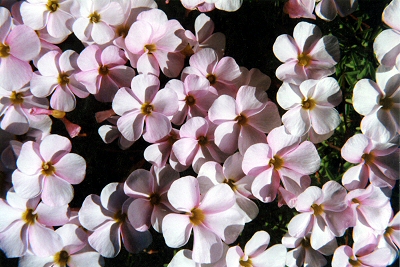 �Ŷ�!��ե���ݶ�!