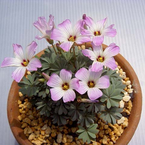 �Ŷ�!��ե���ݶ�!