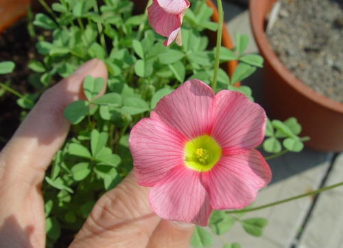 �Ŷ�!��ե���ݶ�!