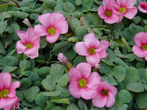 �Ŷ�!��ե���ݶ�!