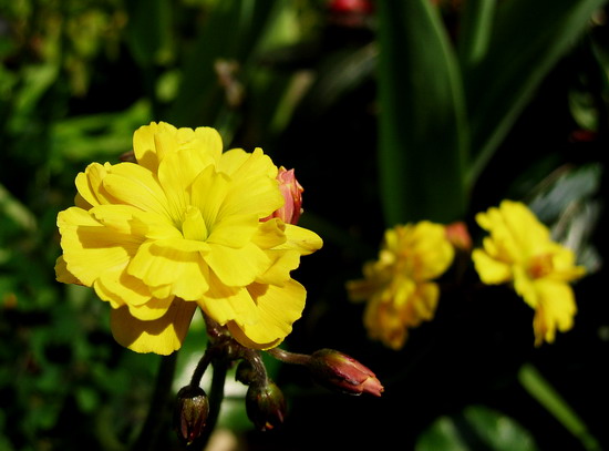 �Ŷ�!��ե���ݶ�!