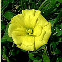 �Ŷ�!��ե���ݶ�!