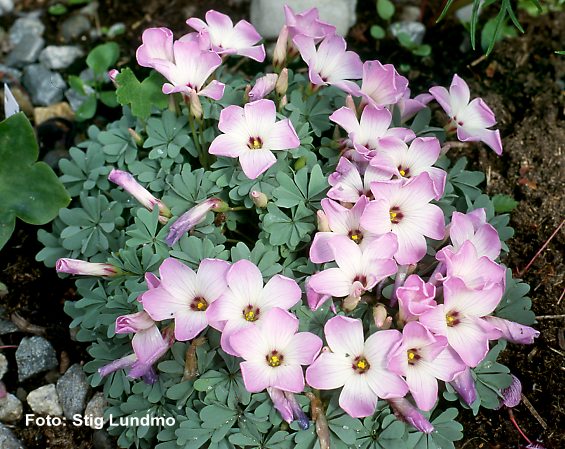 �Ŷ�!��ե���ݶ�!