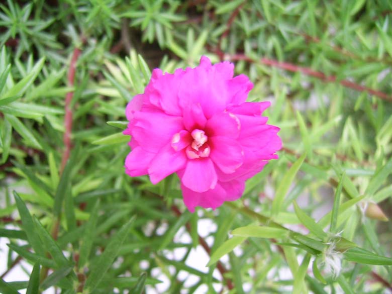 �ذ�̫��������