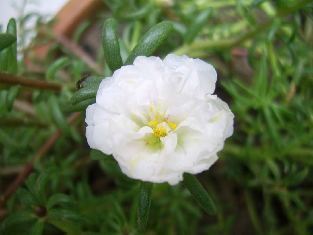 �ذ�̫��������