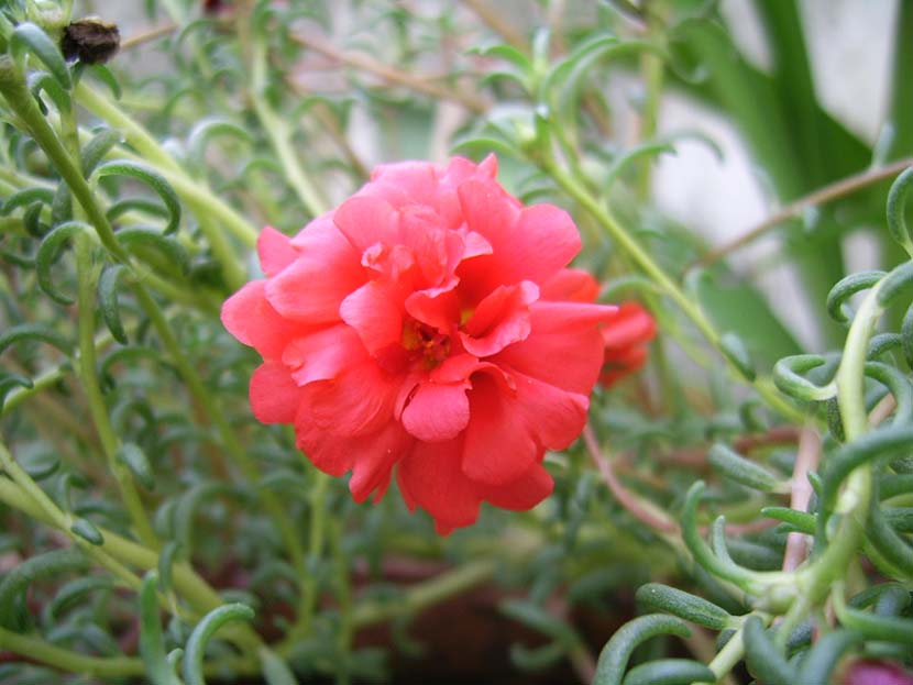 �ذ�̫��������