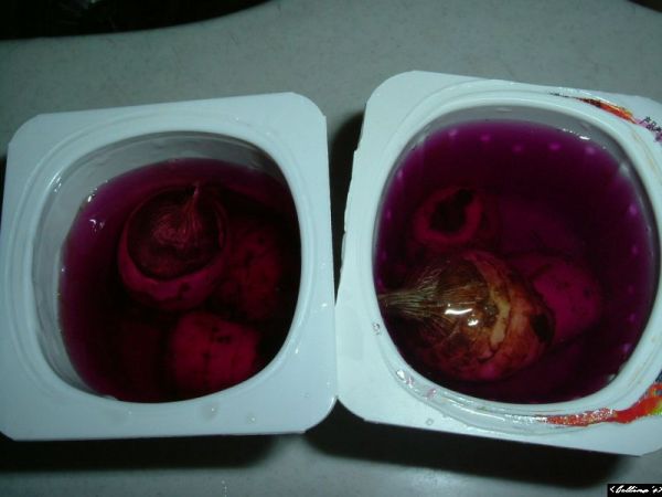 �����¸����ٲ�ά��,���ﲥ������