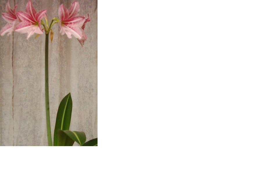 ���߹�ͦ�Ļ���