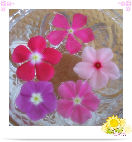 ��������մ�