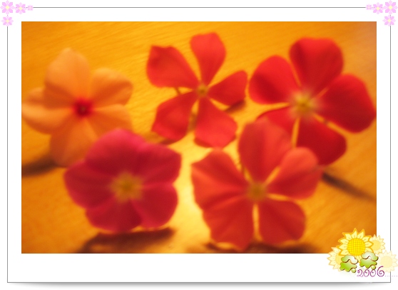 ��������մ�