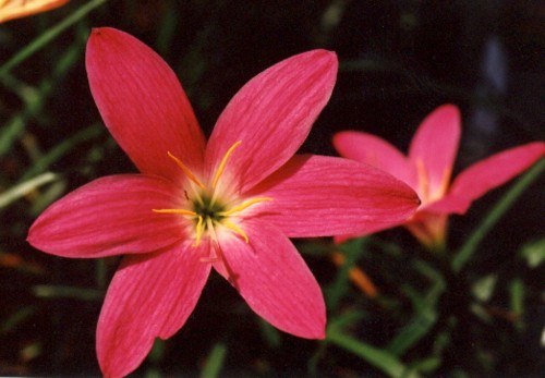 �Ŷ�,��������Ĵ���