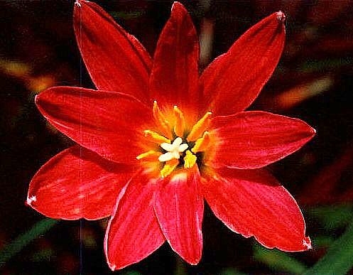 �Ŷ�,��������Ĵ���