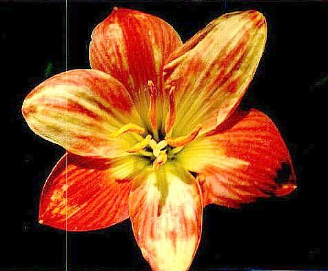 �Ŷ�,��������Ĵ���