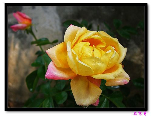 ����,�����¼���ҫ�ļ���