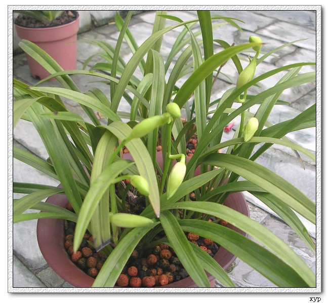 �ֿ���������