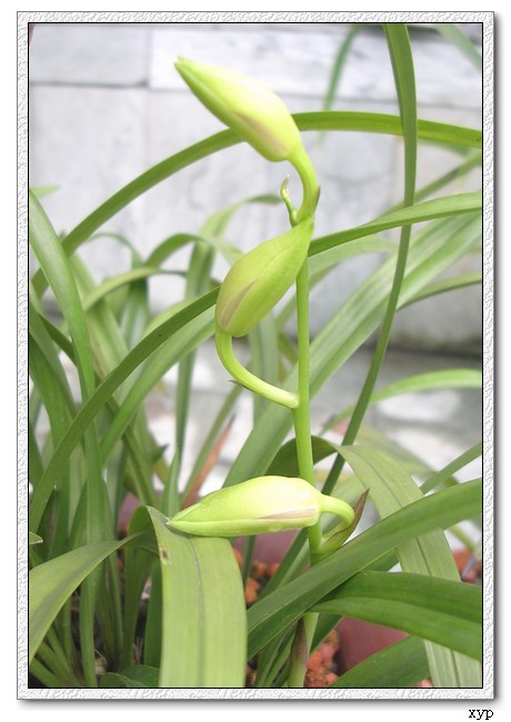 �ֿ���������