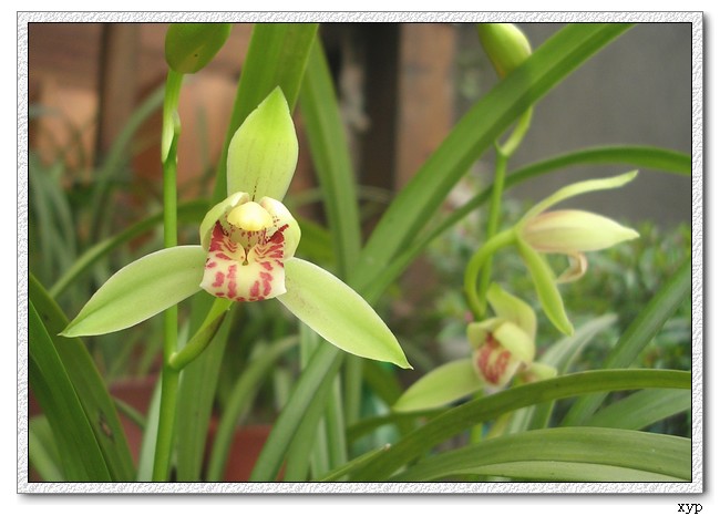 �ֿ���������