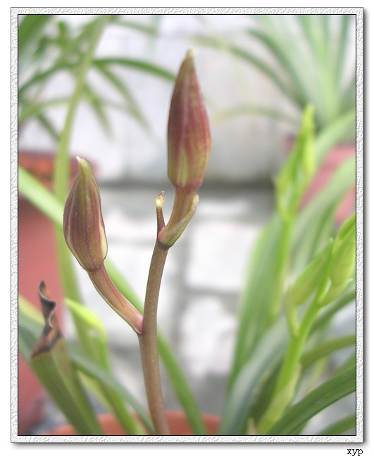 �ֿ���������