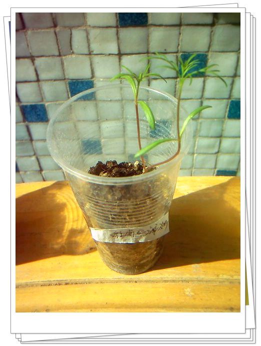 �������𣬾������£�Ը�ﲥ�ɹ�