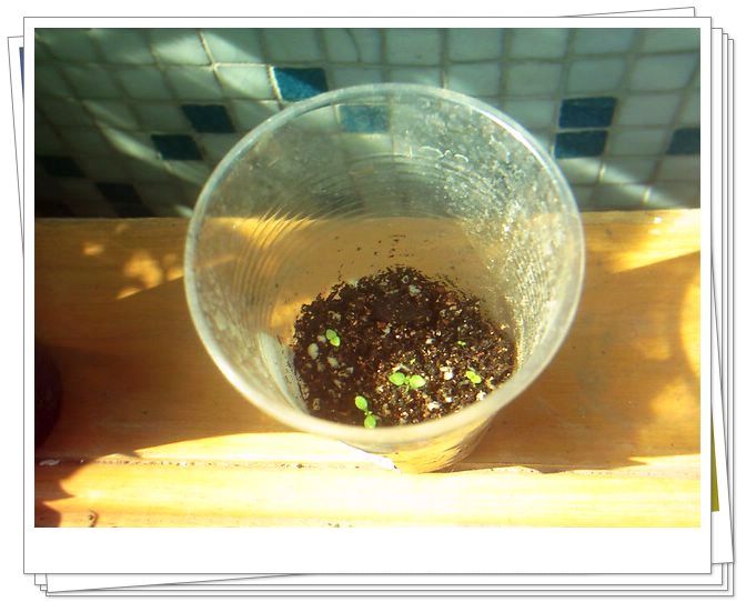 �������𣬾������£�Ը�ﲥ�ɹ�