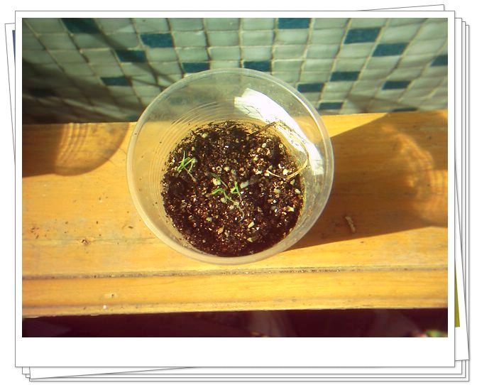 �������𣬾������£�Ը�ﲥ�ɹ�