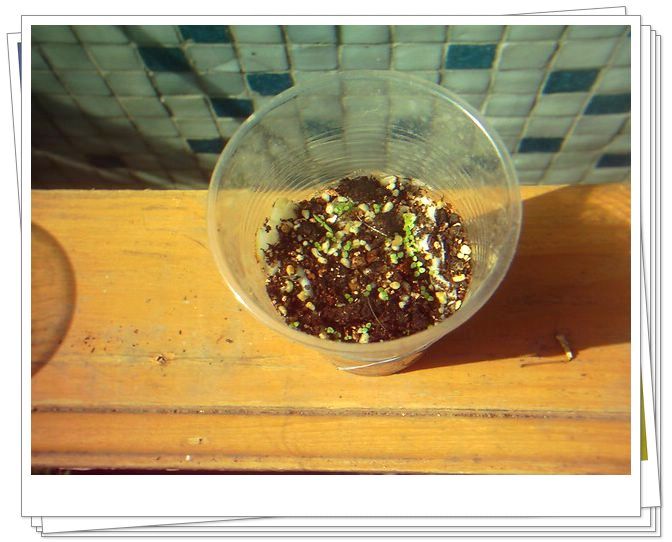 �������𣬾������£�Ը�ﲥ�ɹ�