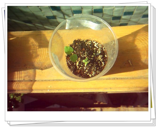 �������𣬾������£�Ը�ﲥ�ɹ�