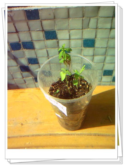 �������𣬾������£�Ը�ﲥ�ɹ�