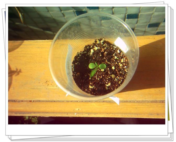 �������𣬾������£�Ը�ﲥ�ɹ�