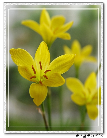 ���߹�ͦ�Ļ���