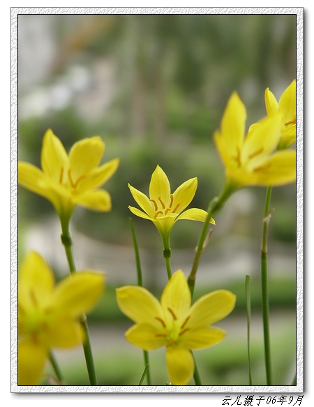 ���߹�ͦ�Ļ���