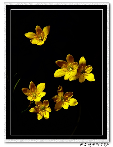 ���߹�ͦ�Ļ���