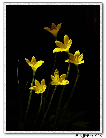 ���߹�ͦ�Ļ���