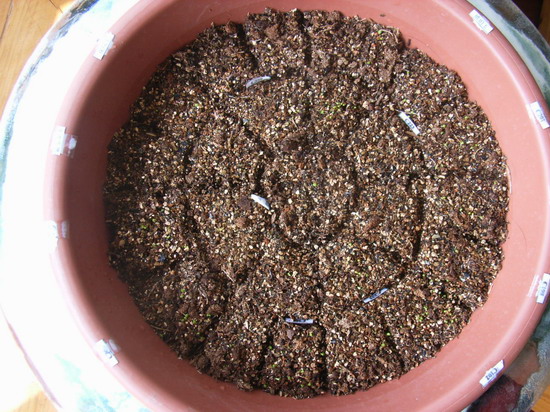 ��ʯ�������ְ����󣺣���