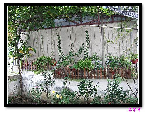 �����еĻ�ǽ:����