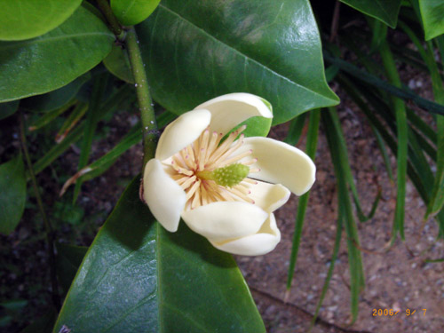 [����]��Ц��Ц